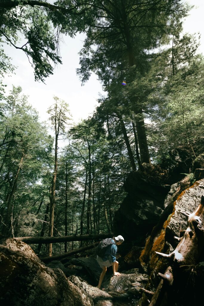 A lone hiker ascends a rugged forest trail surrounded by lush trees and rocks.