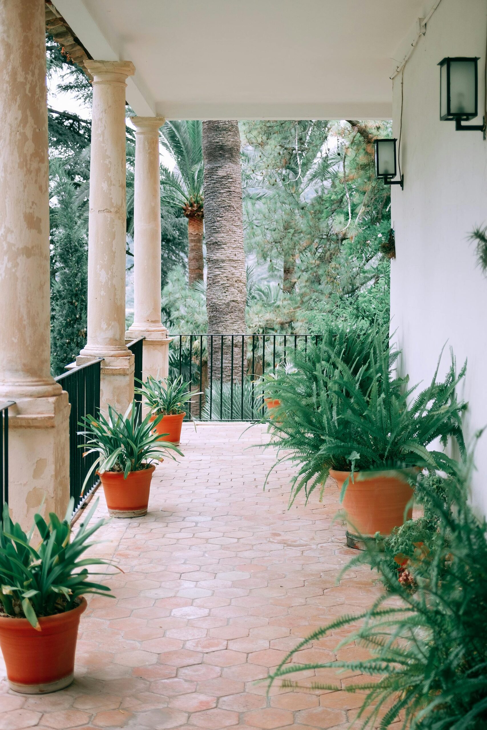 Inviting veranda with lush potted plants and classic columns, offering a serene outdoor escape.